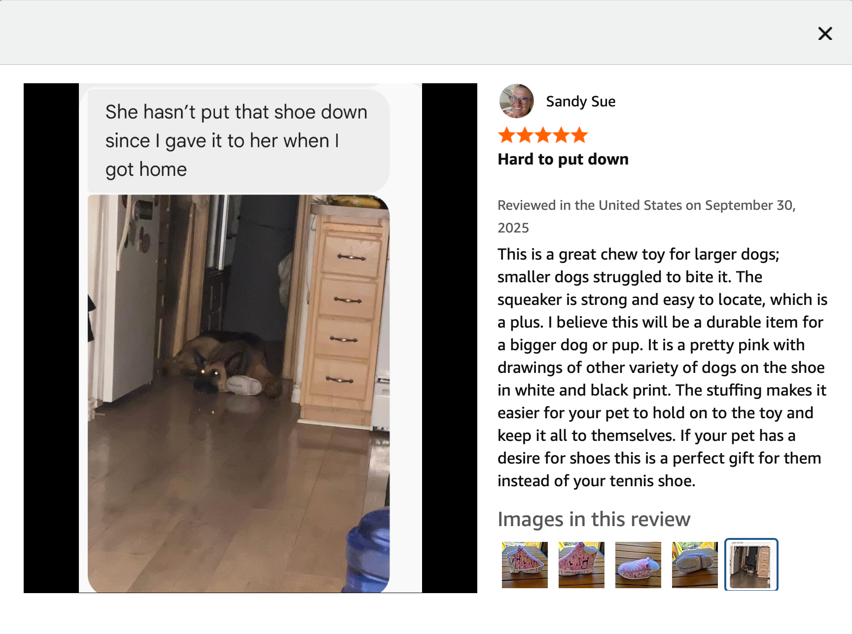 Pawcasso – Peluche - Cão por atacado – Pacote de Sapatilhas Pawcasso19