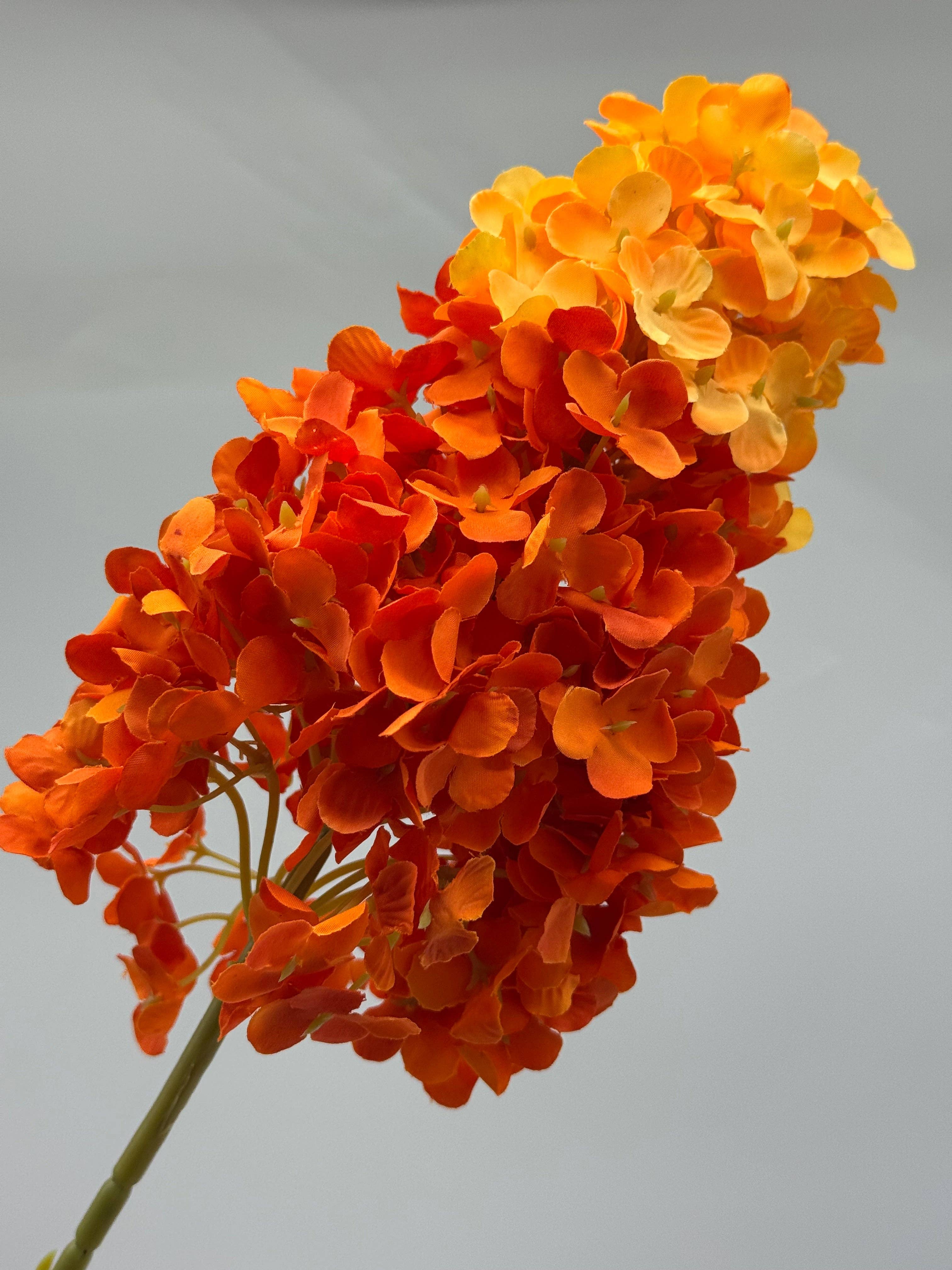 JKF & Co Pty Ltd - Wholesale Artificial flowers - Hydrangea Cone Silk2