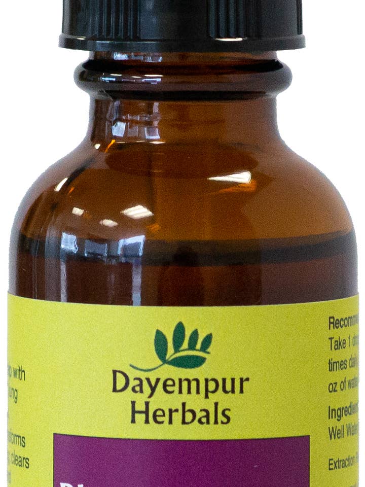 Pleurisy Root for wholesale by Dayempur Herbals