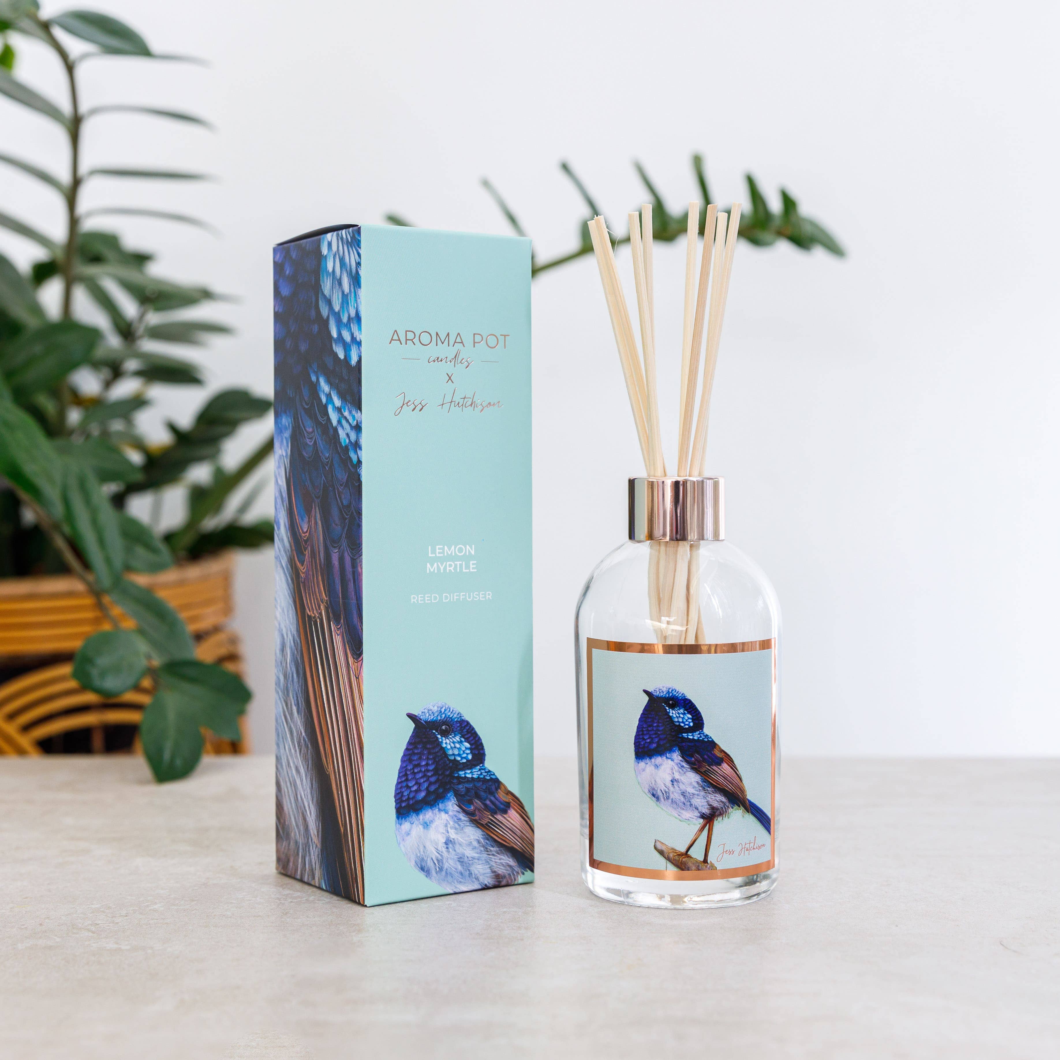 Aroma Pot - Wholesale Reed diffuser - Australian artist reed diffuser | lemon myrtle | 200ml5