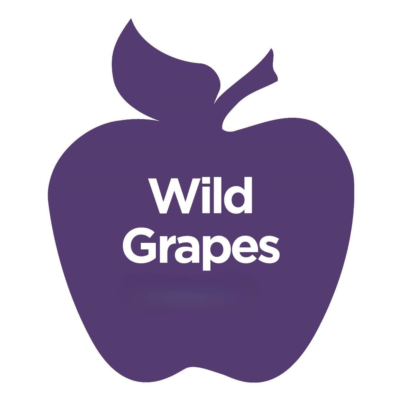 Plaid Crafts - Wholesale Acrylic Paint - Apple Barrel ® Multi-Surface Satin Acrylic Paint - 2 oz45