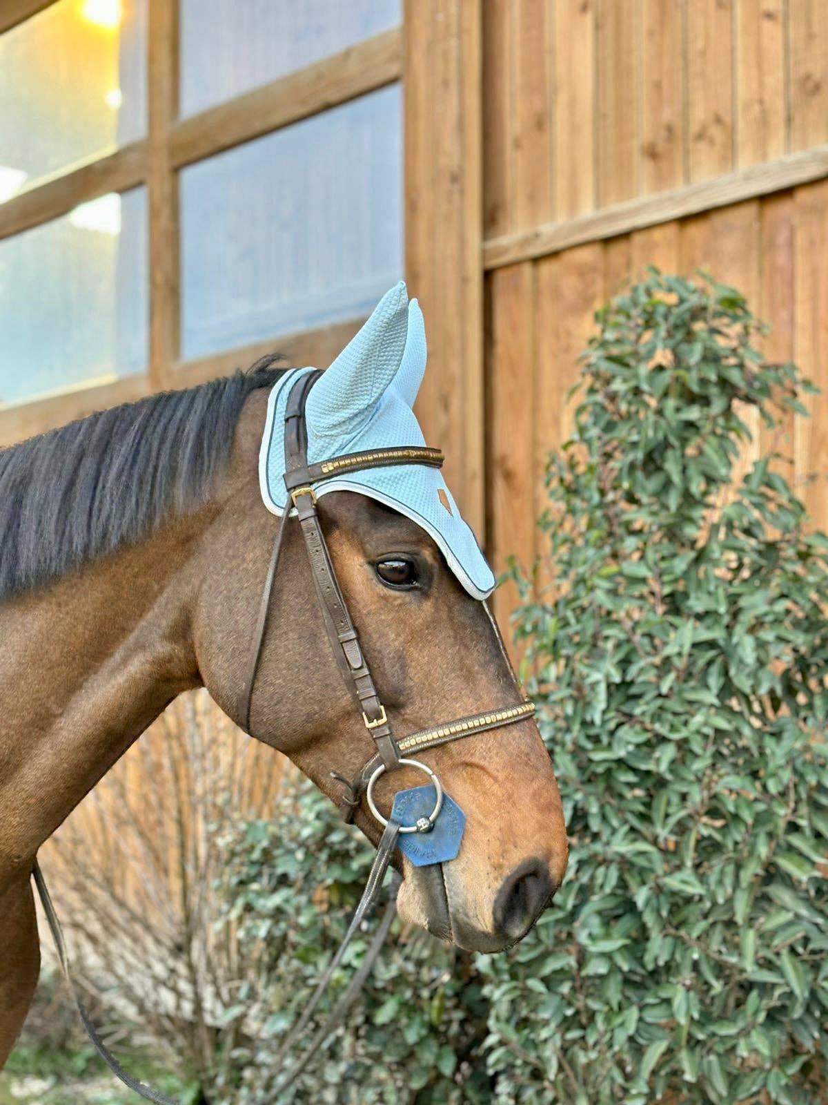 Athippique - Wholesale Horseback Riding Gear - Sky blue horse hat3