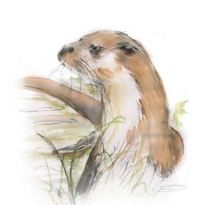 Framed Print Oakley the Otter for wholesale by Wendy Laverick