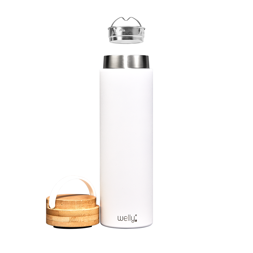 Welly - Wholesale Water Bottle - Traveler 20oz5