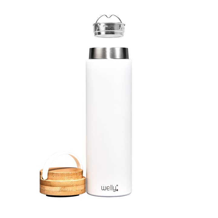 Welly - Wholesale Water Bottle - Traveler 20oz5