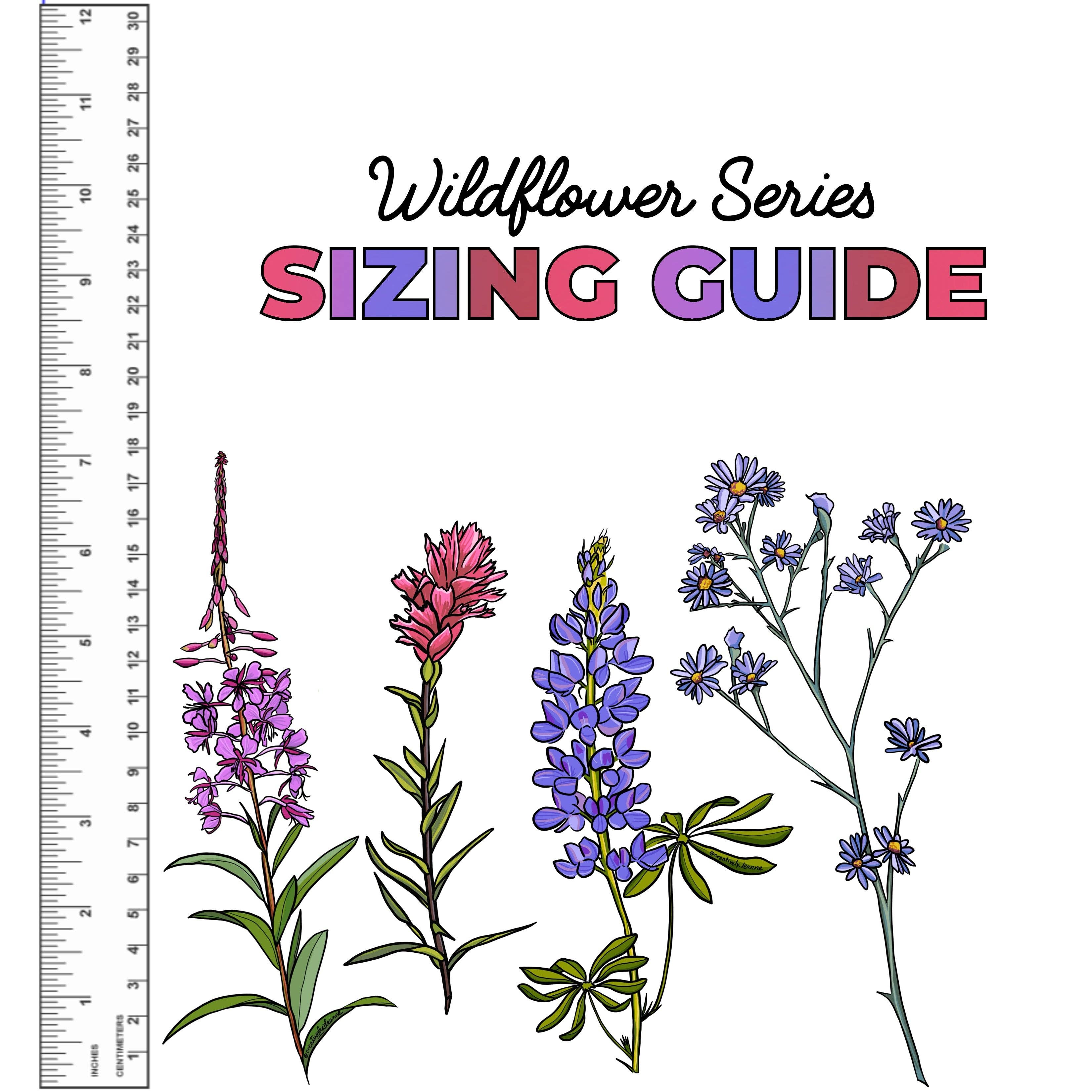 Creatively Leanne - Wholesale Sticker - Indian Paintbrush Wildflower Sticker 5.5"2