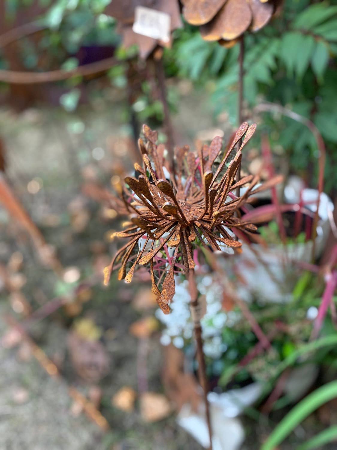 Beechwood Trinkets - Vendita all'ingrosso Ornamenti/decorazioni per esterni - Fiore 3D Allium2