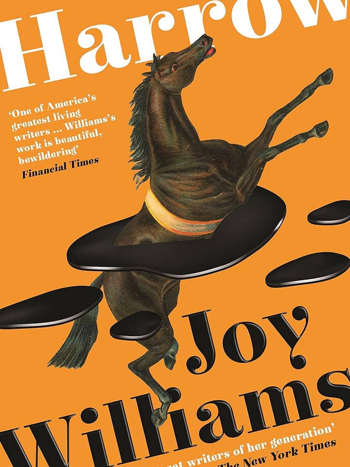 HARROW - Joy Williams for wholesale by Moonraker Books Ltd