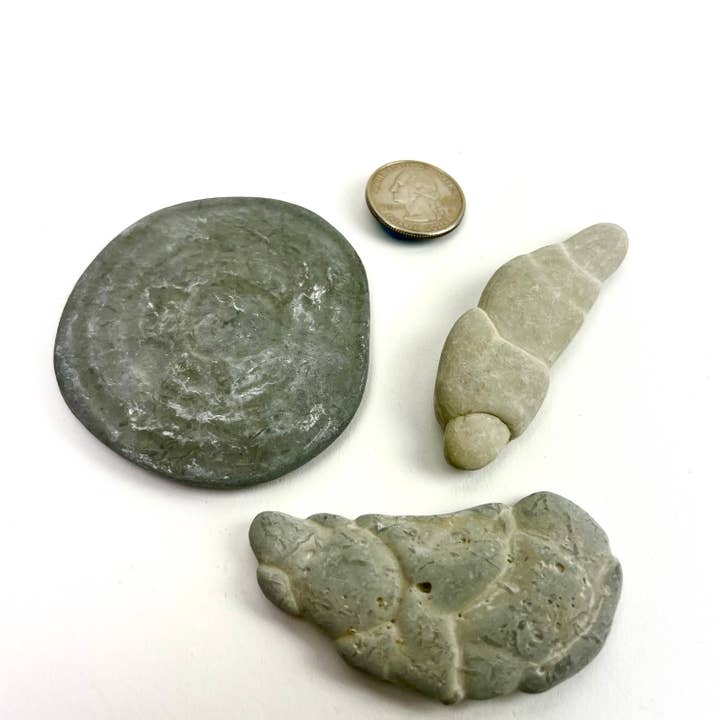 Pelham Grayson Rose - Wholesale Spiritual Stone/Crystal - Fairy Stone Concretion | Quebec, Canada