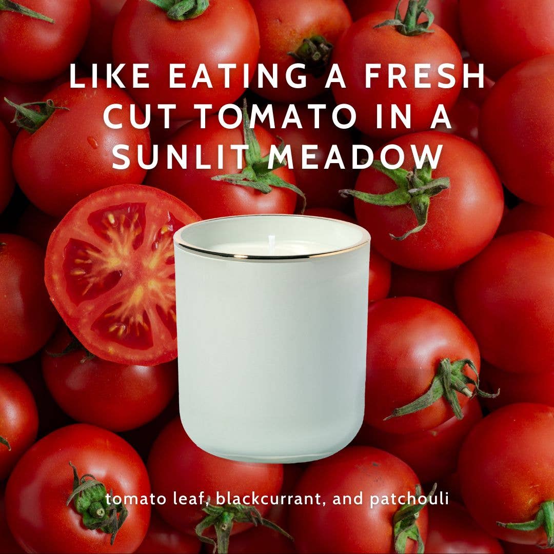 Little Torch - Wholesale Jar/Filled Candle - haven candle (tomato leaf, blackcurrant, and patchouli)3