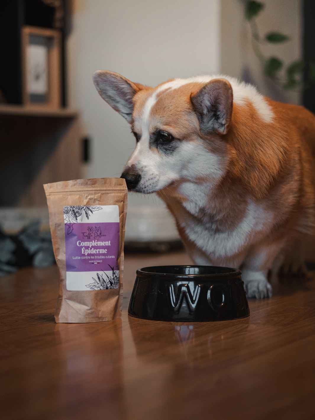 Truffe Délice - Wholesale Pet Supplement - Dog - Dog fur supplement6