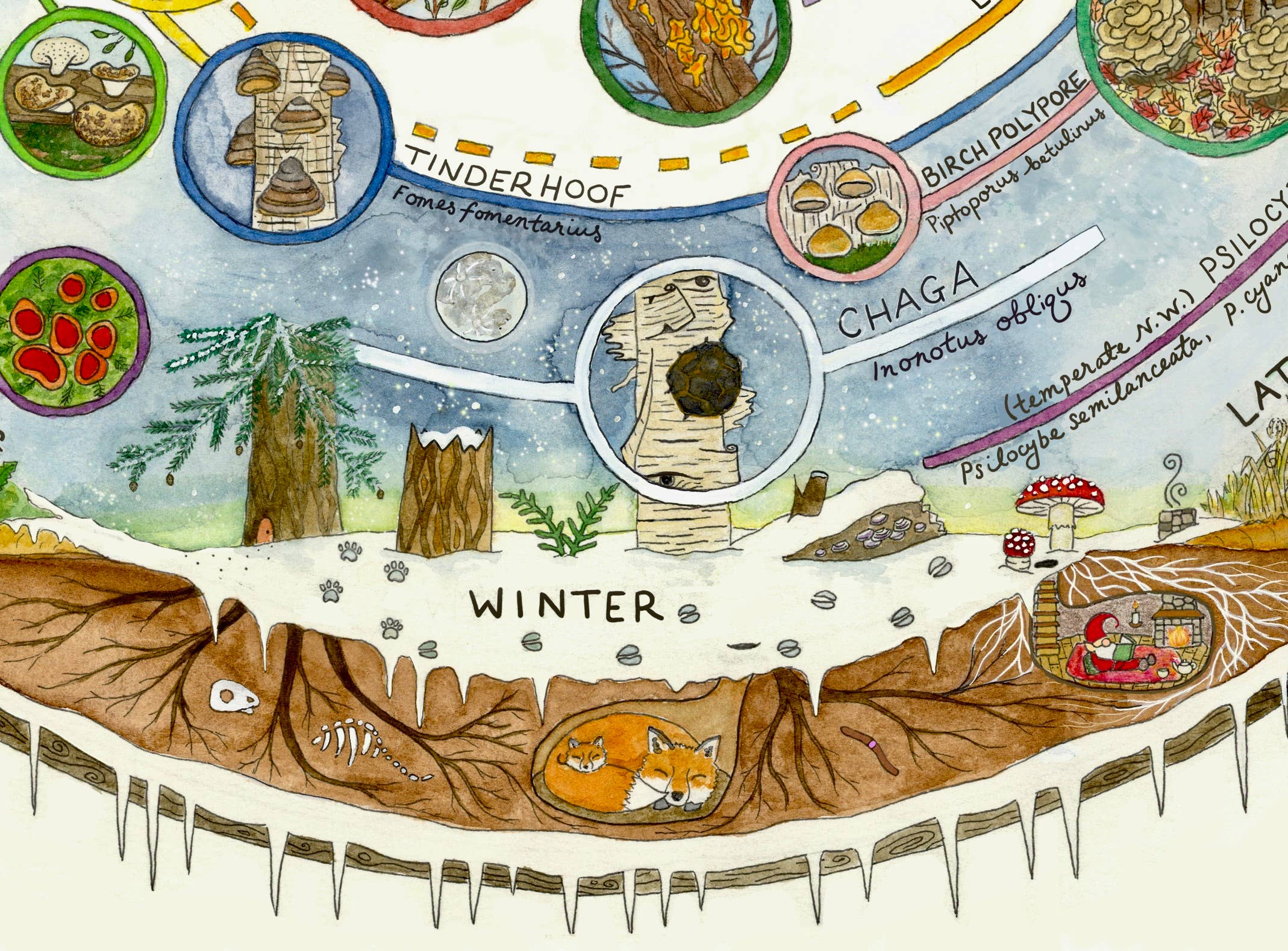 Heart of the Earth Arts - Vente Calendrier - Calendrier de cueillette de champignons | Guide des champignons comestibles et médicinaux5