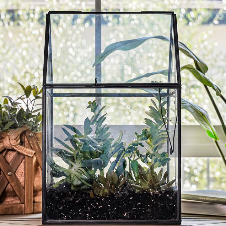 Urban Born - Wholesale Terrarium - Urban Born Oversized House Terrarium with Separate Stand3