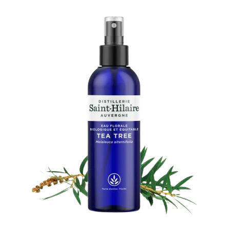 Ecohesens - Wholesale Face & Body Mist/Water - Organic Tea Tree Hydrosol - 200 ml bottle - Saint-Hilaire0