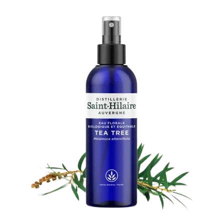 Ecohesens - Wholesale Face & Body Mist/Water - Organic Tea Tree Hydrosol - 200 ml bottle - Saint-Hilaire