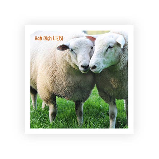 Sheep Love You | Postcard for wholesale by Hey!Cards GmbH & Co. KG