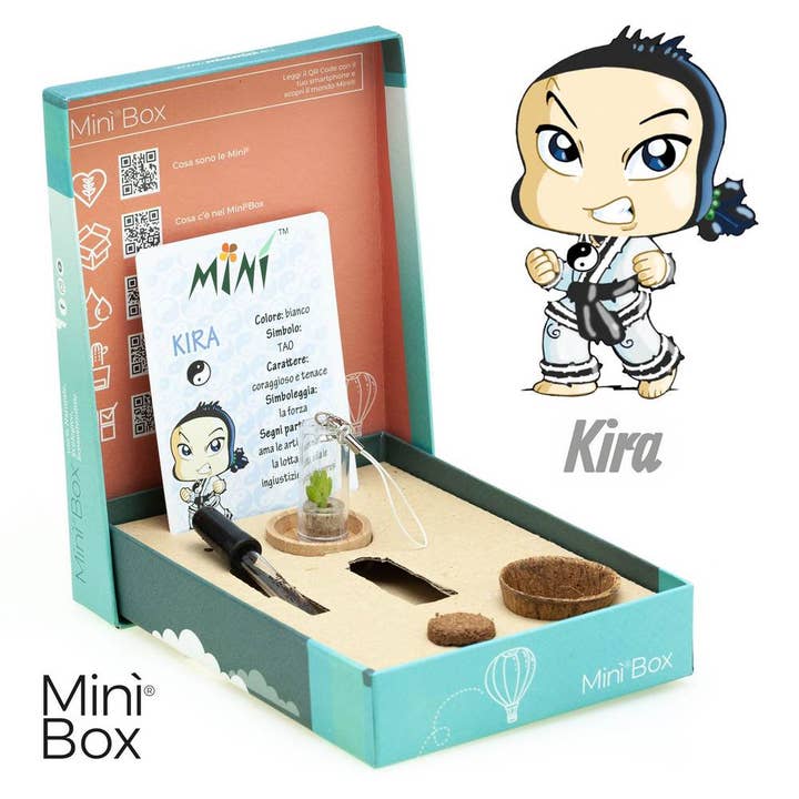 Minì Box Fun Kira - Mini plant for the brave and the tenacious for wholesale by MINÌ®Italia di Luigi Paolicchi