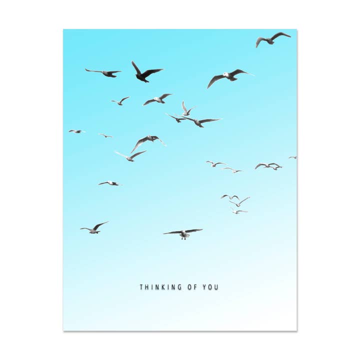 Mouettes Pensant à Toi Carte pour la vente par Embued Photophiles