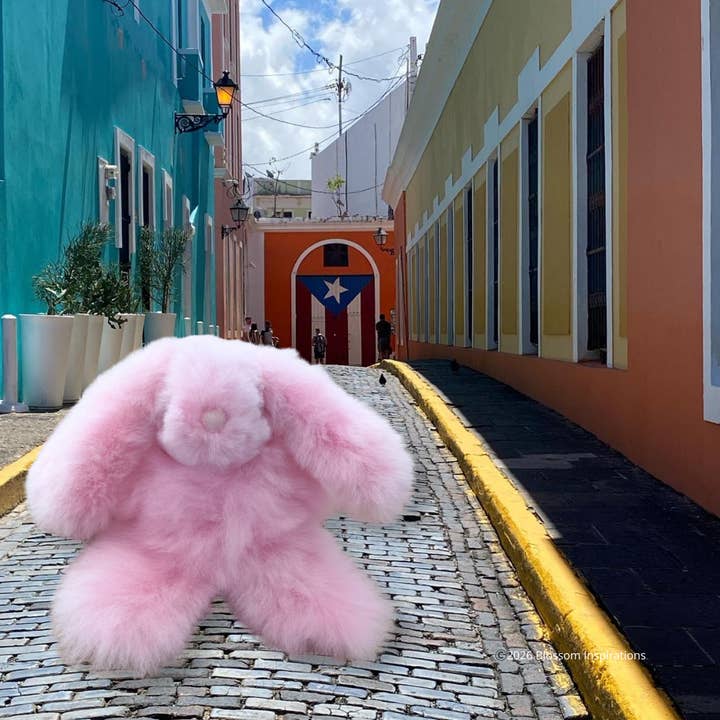 Buen Conejo para venta al por mayor de Blossom Inspirations
