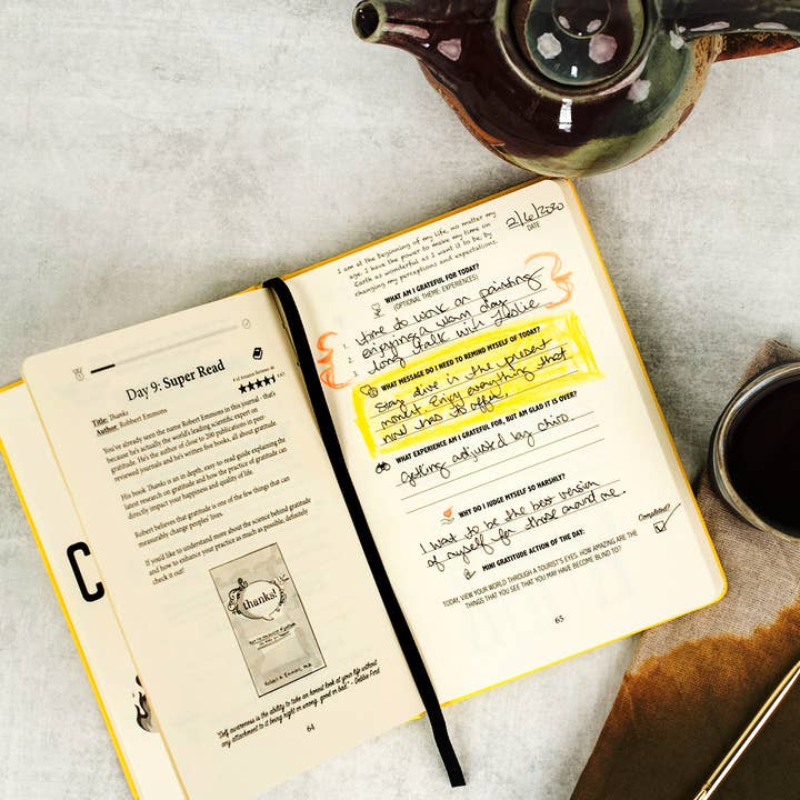 Habit Nest - Wholesale Journal/Diary - Gratitude Sidekick Journal