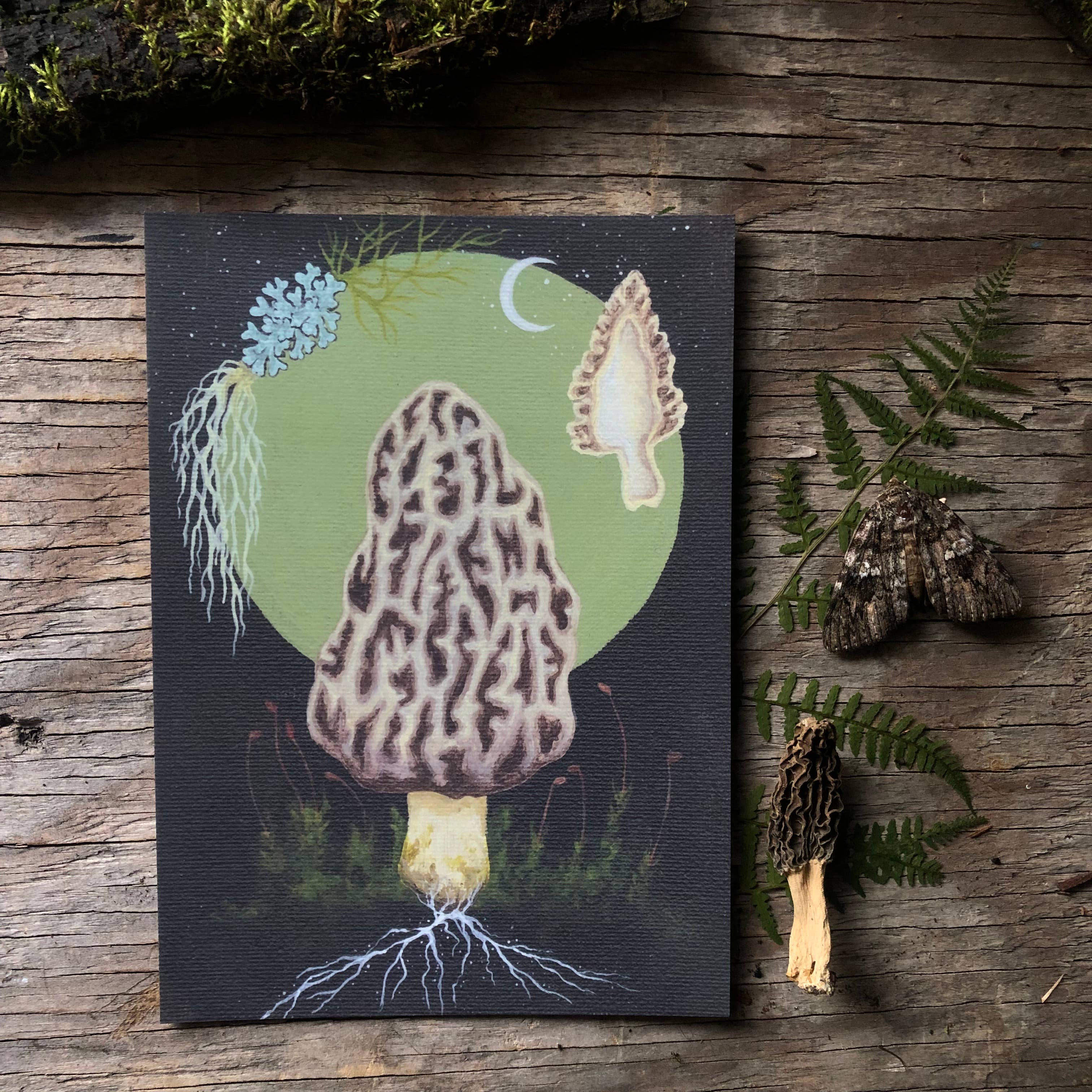Up Moss Creek Studio - Wholesale Postcard - Morel Postcard 1