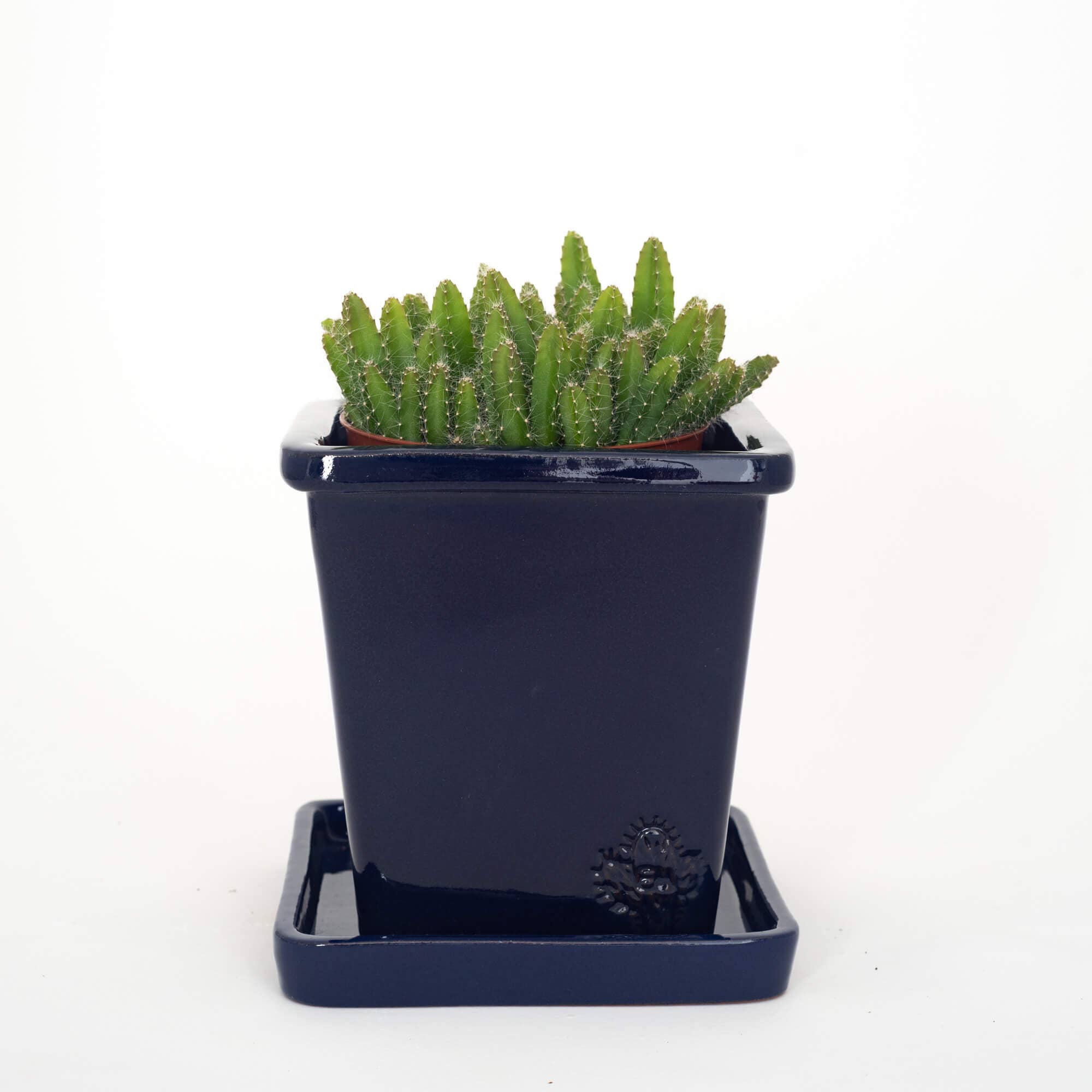 Vasos Quadrados by EM – Engroshandel Plantekrukke – Medium firkantet vase 14x14 cm - blank10