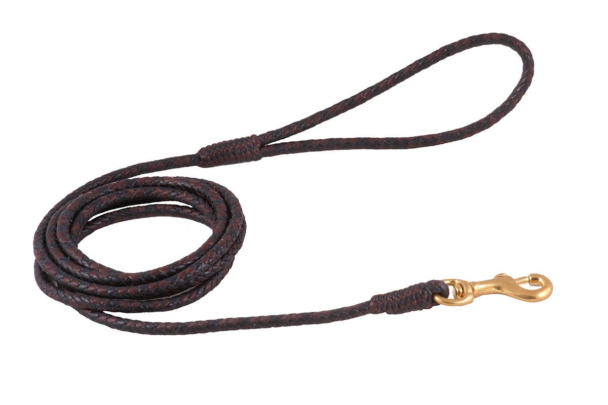 Alvalley - Wholesale Pet Leash - Dog - Braided Leather Snap Leads50
