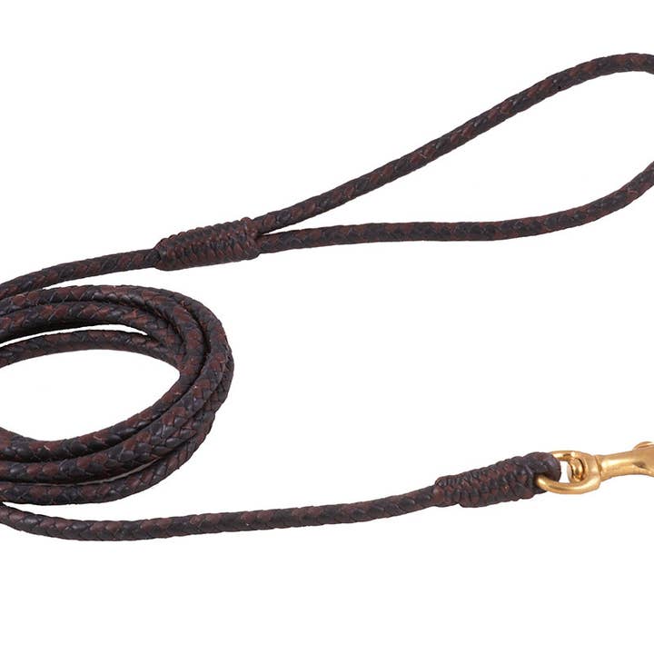 Alvalley - Wholesale Pet Leash - Dog - Braided Leather Snap Leads50