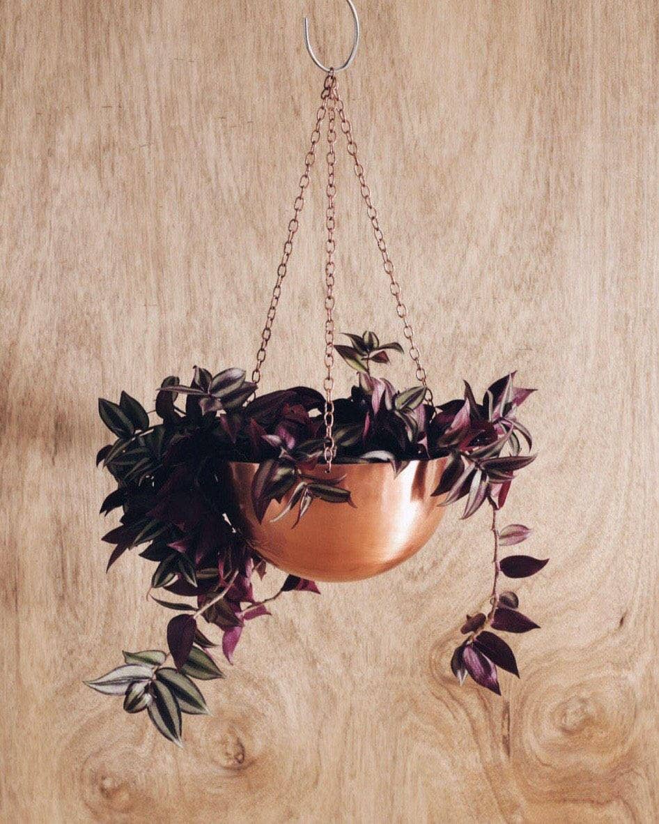 Sawah Botanical – wholesale Hängande kruka – Stor koppar Rose Gold Hängande Planter1