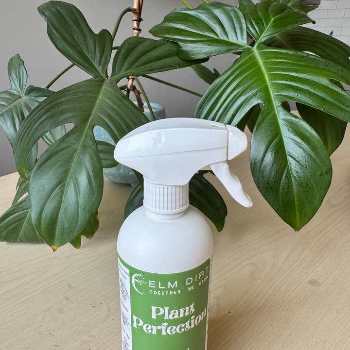 Elm Dirt - Wholesale Fertilizer - Plant Perfection- A Plant Shine0