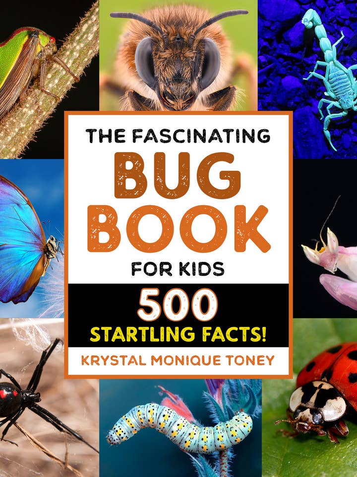 Fascinating Bug Book for Kids for wholesale by Sourcebooks