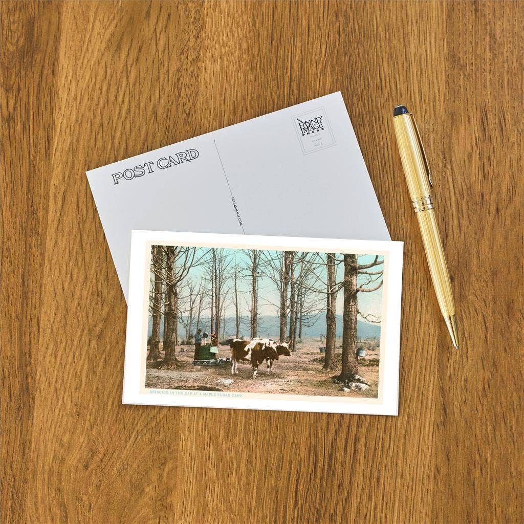 Found Image Press - Wholesale Postcard - Postcard VT-60 Oxen at Maple Sugar Camp1
