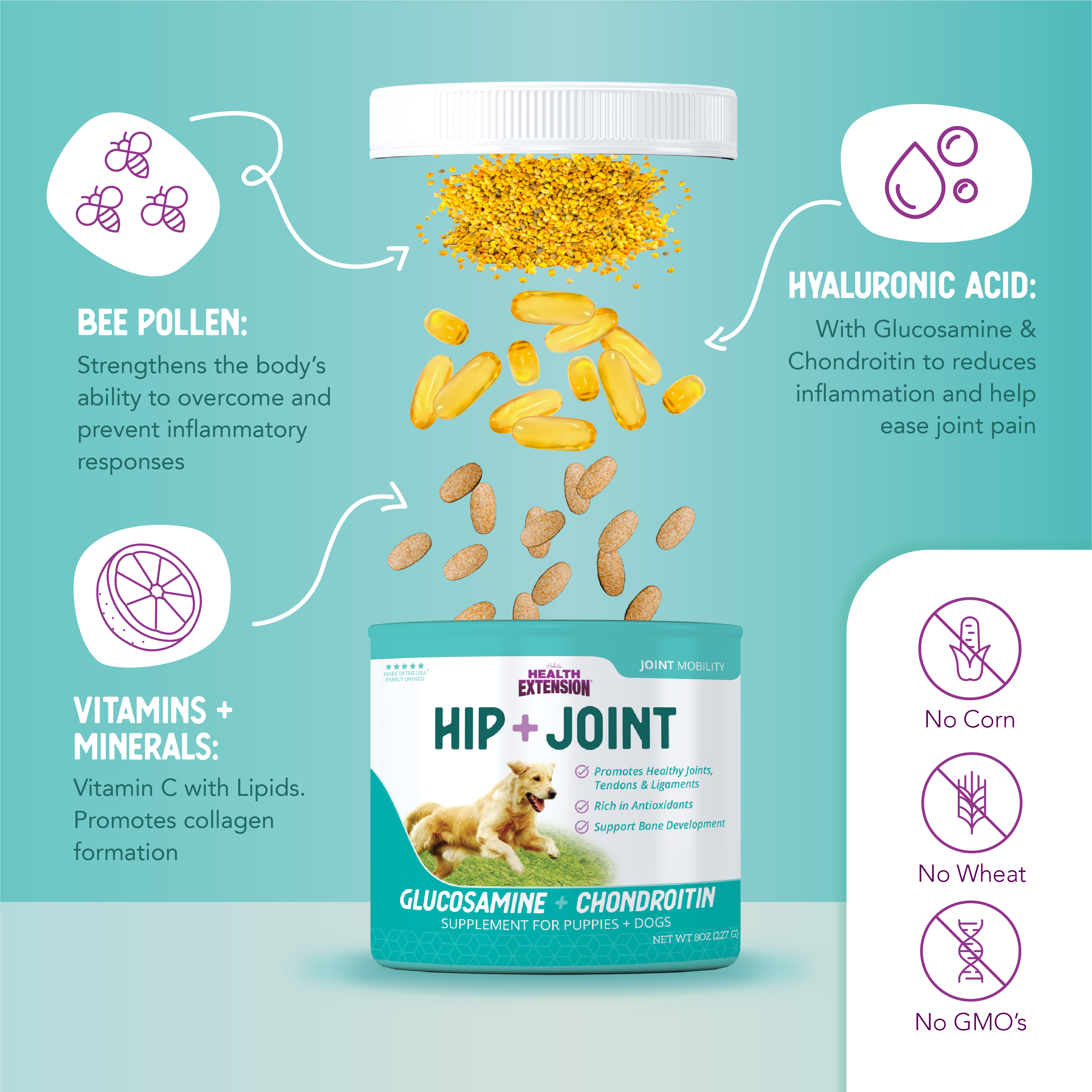 Health Extension Pet Care - Wholesale Pet Supplement - Dog - HIP + JOINT Mobility Supplement8