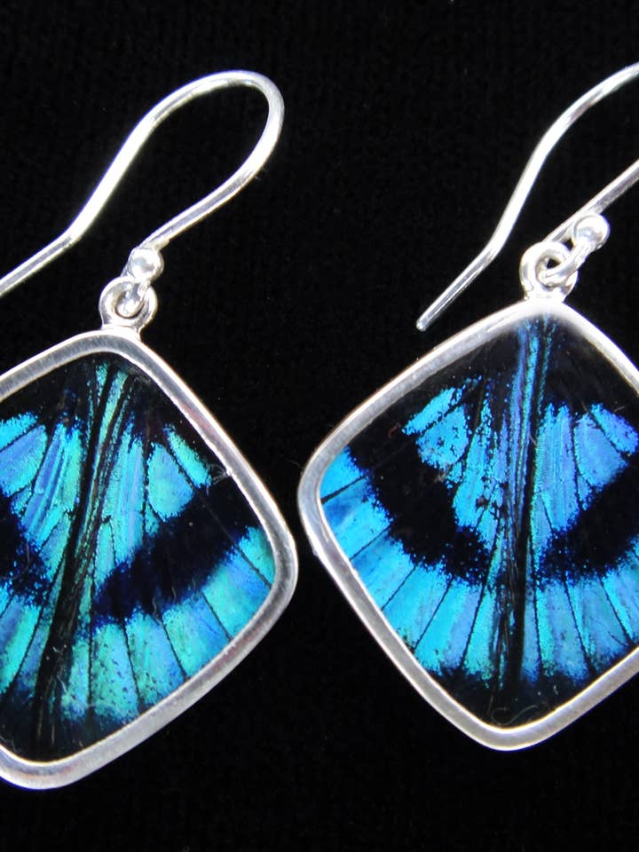 Shimmerwings "Blue Flash" Butterfly Diamond Earrings for wholesale by Tika