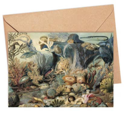 Tarjeta Anémonas para venta al por mayor de ikonink