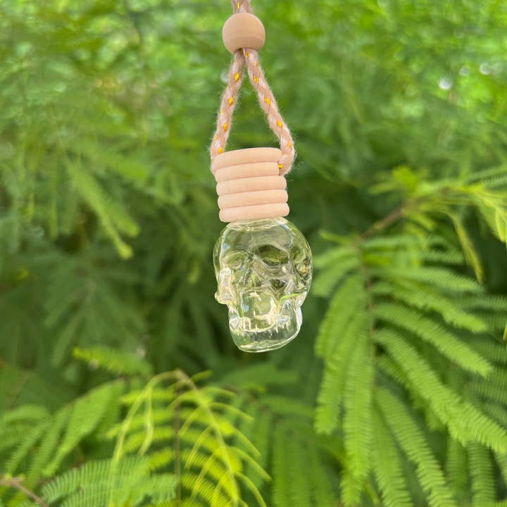 Auto-Diffusoren für den Großhandel von PlummShoppeStudio