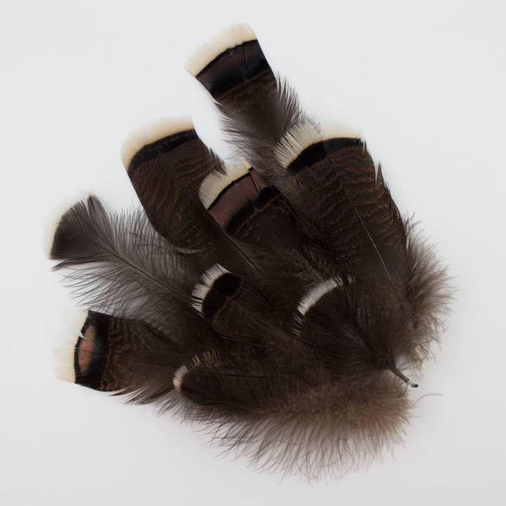 Natural Turkey Bronze Feathers 3-8" - Loose 1/4 lb for wholesale by Zucker Feather Products