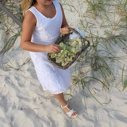 Flyboy Naturals Rose Petals - Wholesale Dried/pressed flowers - Irish Blend Rose & Hydrangea Petals.30 Cups Freeze-dried USA3