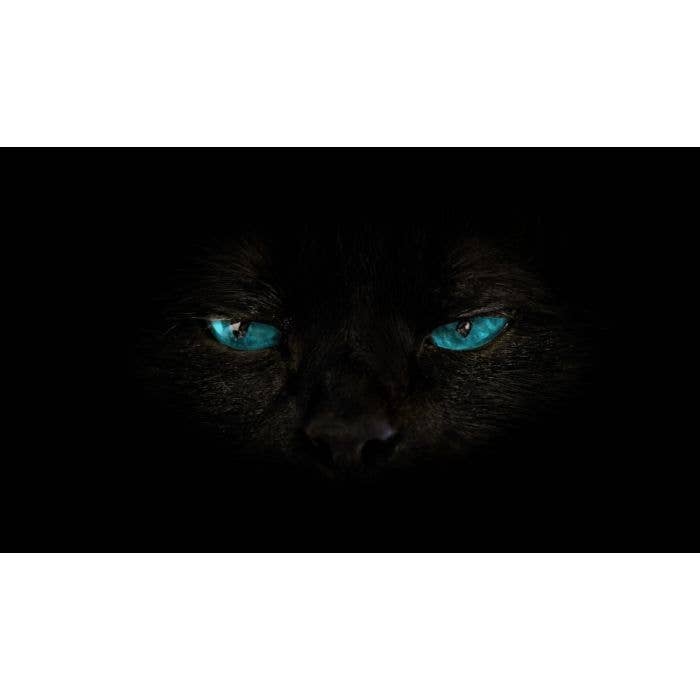 Superstition pour la vente par Blossom Oils