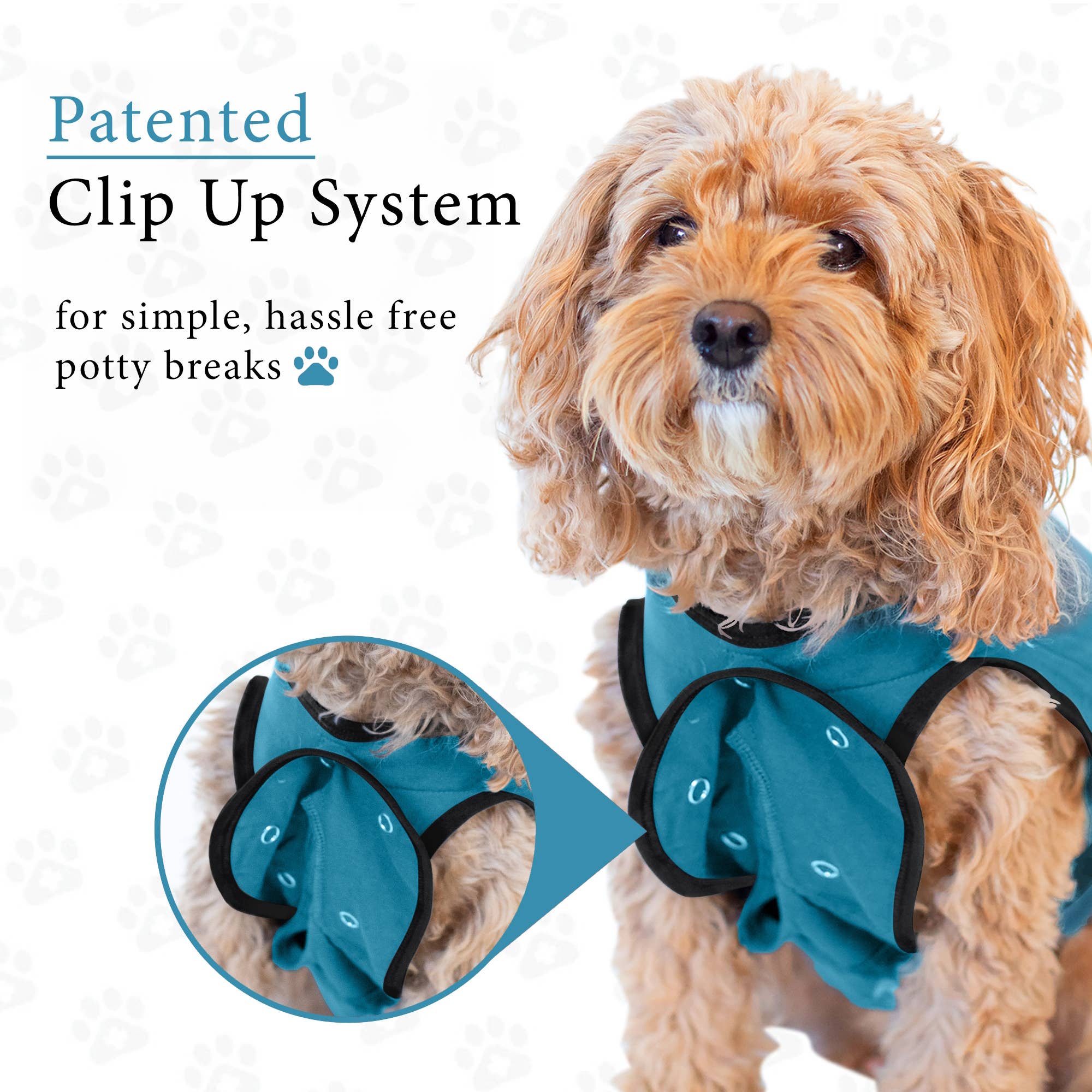 BellyGuard Recovery Suit For Dogs - Blue for wholesale on Faire5