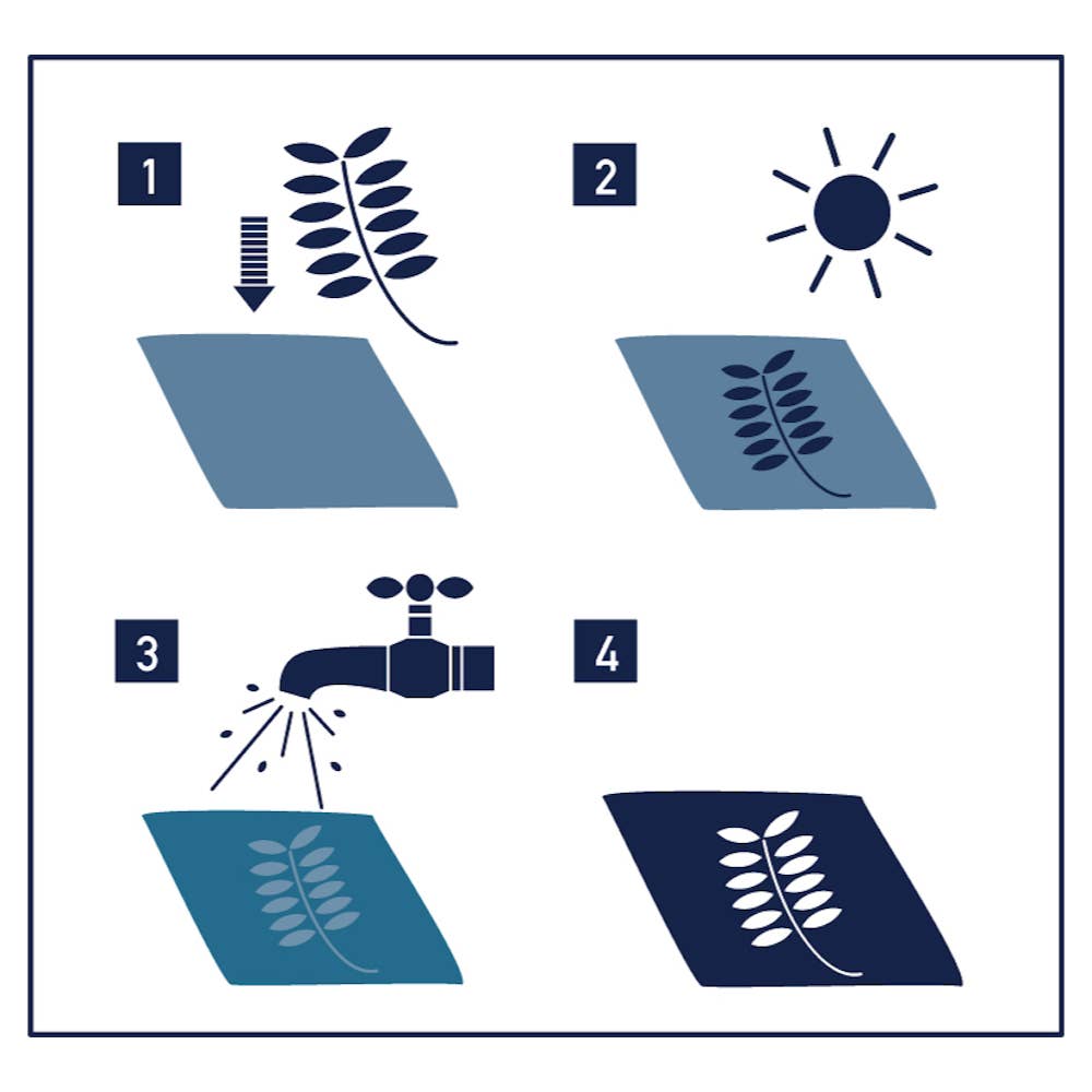 Noted UK – wholesale DIY craft kit – Sunography - Fabric2