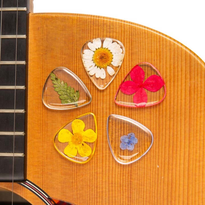 Bloemen Gitaar Plectrums - Variatie | Origineel Cadeau voor Muziekliefhebber voor wholesale door Terra Tone