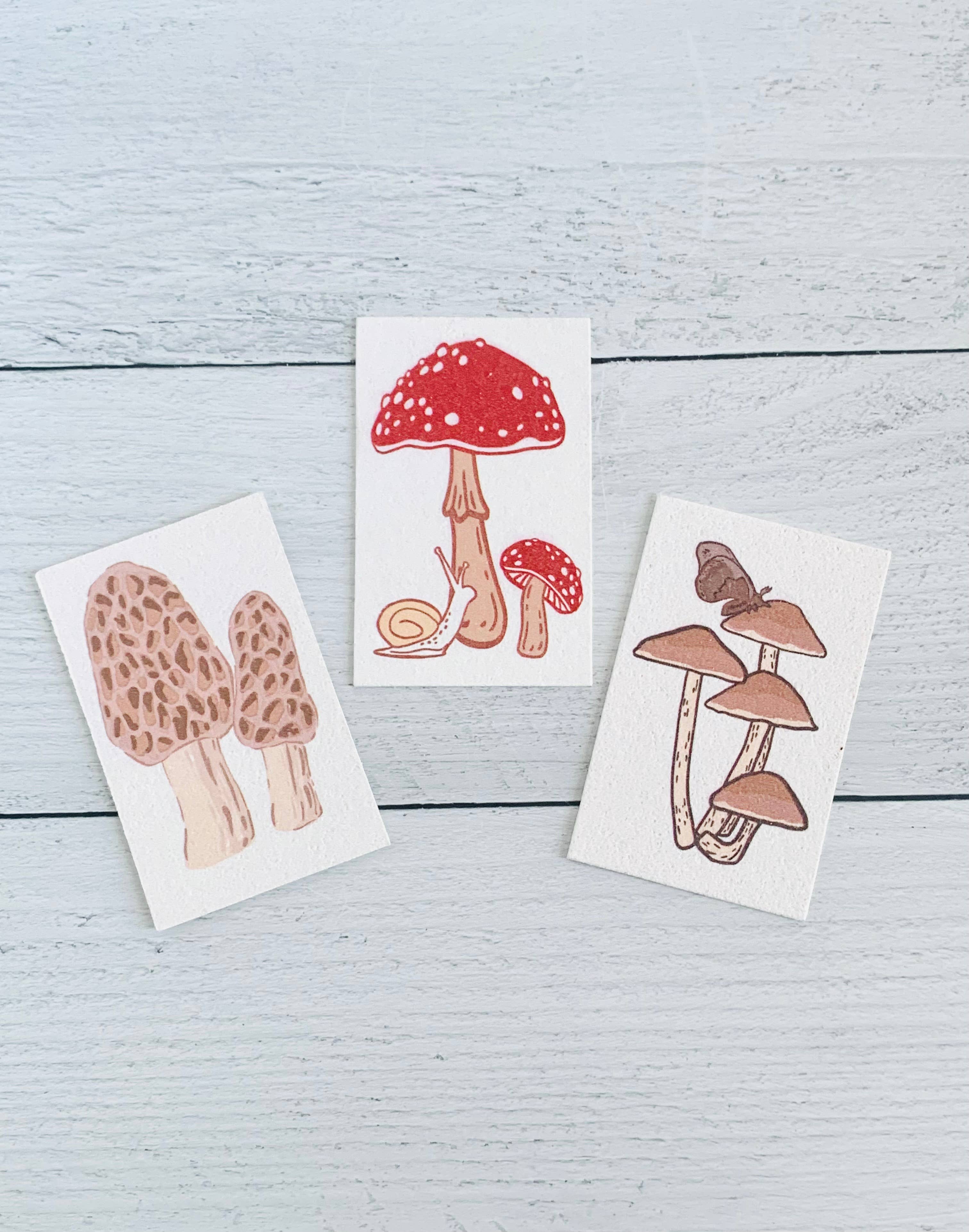 Corvidae drawings & designs - Wholesale Cleaning Sponge - Mushroom Compostable Pop Up Sponges - set of 33