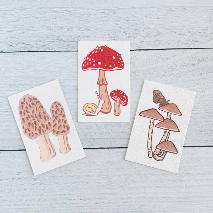 Corvidae drawings & designs - Wholesale Cleaning Sponge - Mushroom Compostable Pop Up Sponges - set of 33