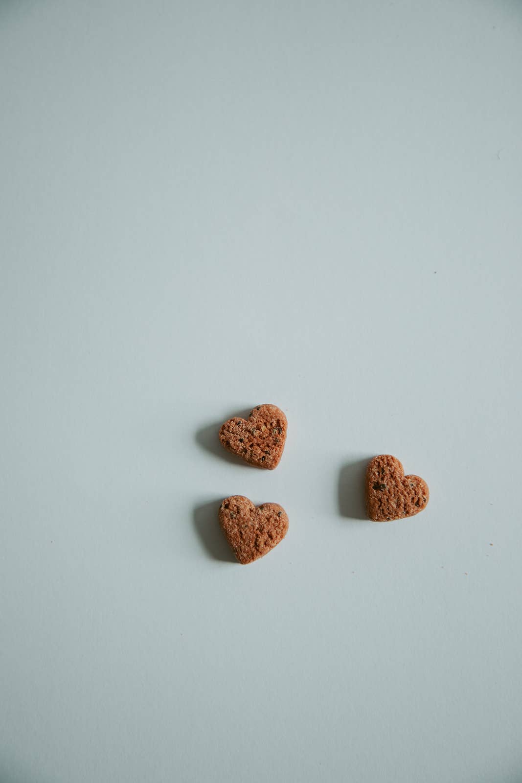 Botanical Bones – snacks e guloseimas - Cão por atacado – Love Bites - Guloseimas para Cães | Orgânico | Dia dos Namorados 💕6