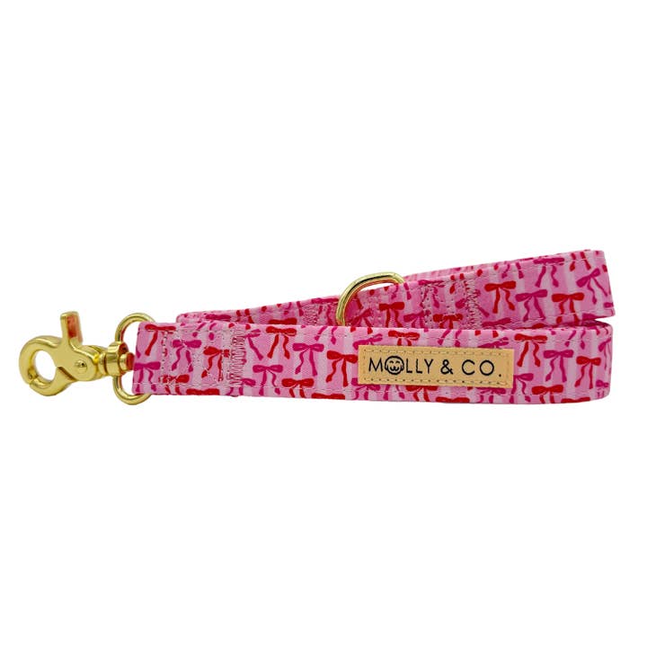 Coquette - Dog Leash for wholesale by Molly & Co.