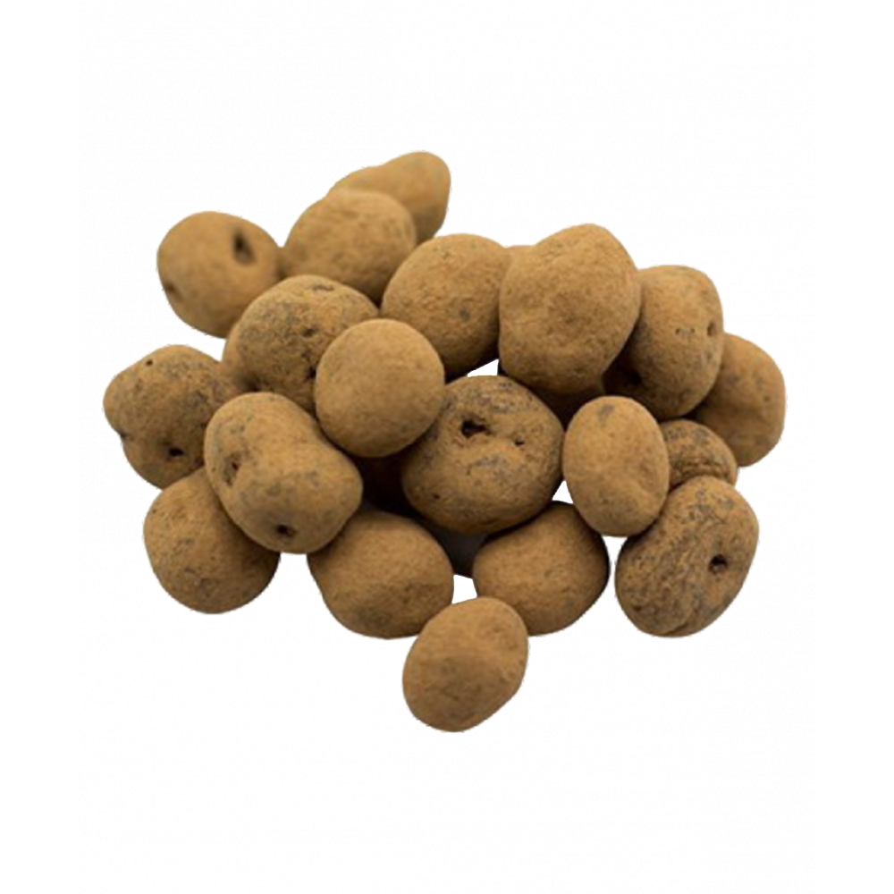 Windy City Organics - Wholesale Chocolate Covered Sweets - Chocolate Covered Sweet Cherries2