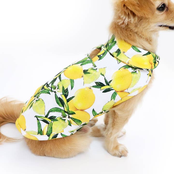 LCB Nice Cooling Jacket for wholesale by Le Chien Bleu NY