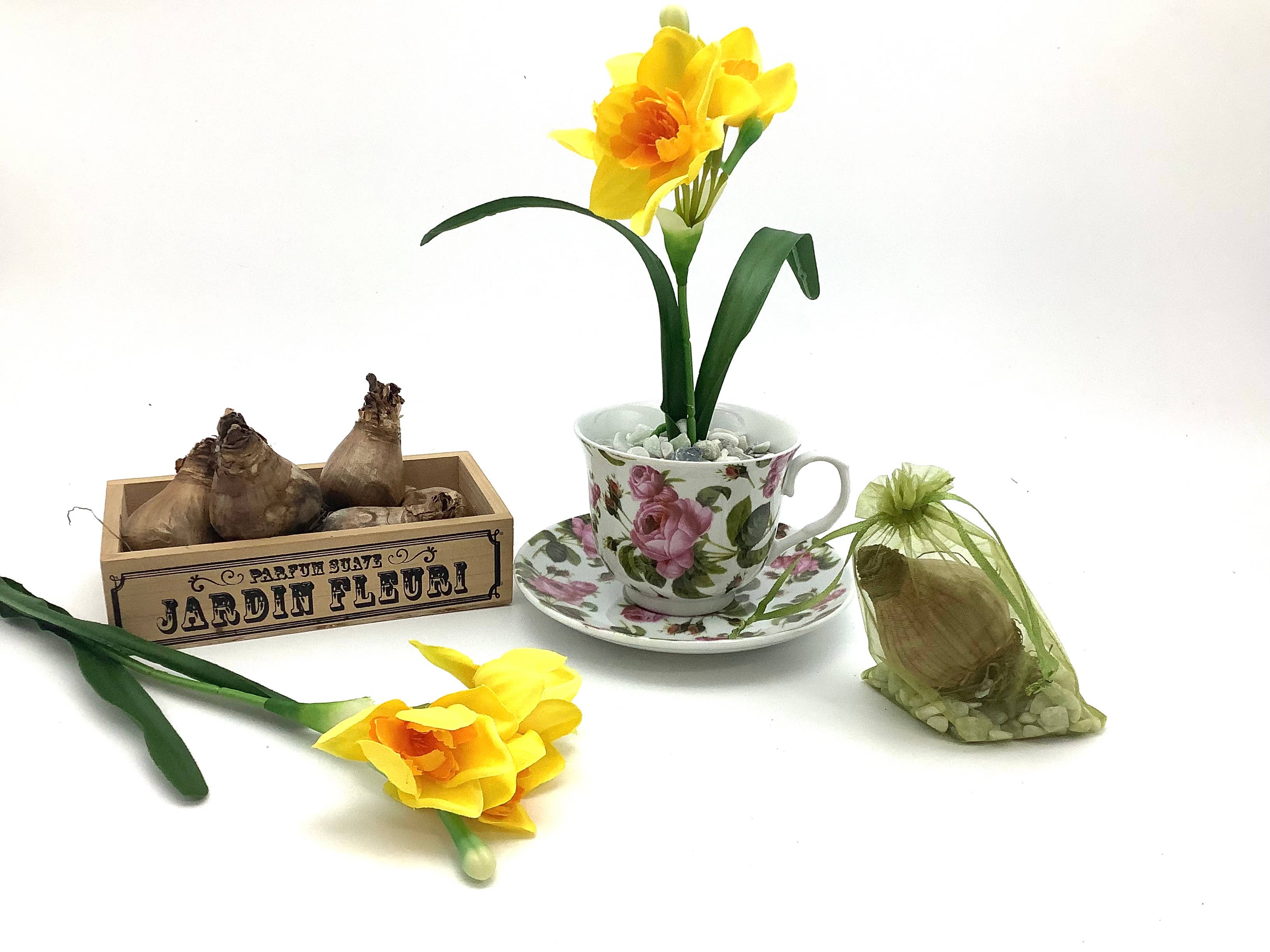 All Little Cute Things - Wholesale Party Favor - Dutch Daffodil Bulb in a Teacup, Garden Tea Party Favors10