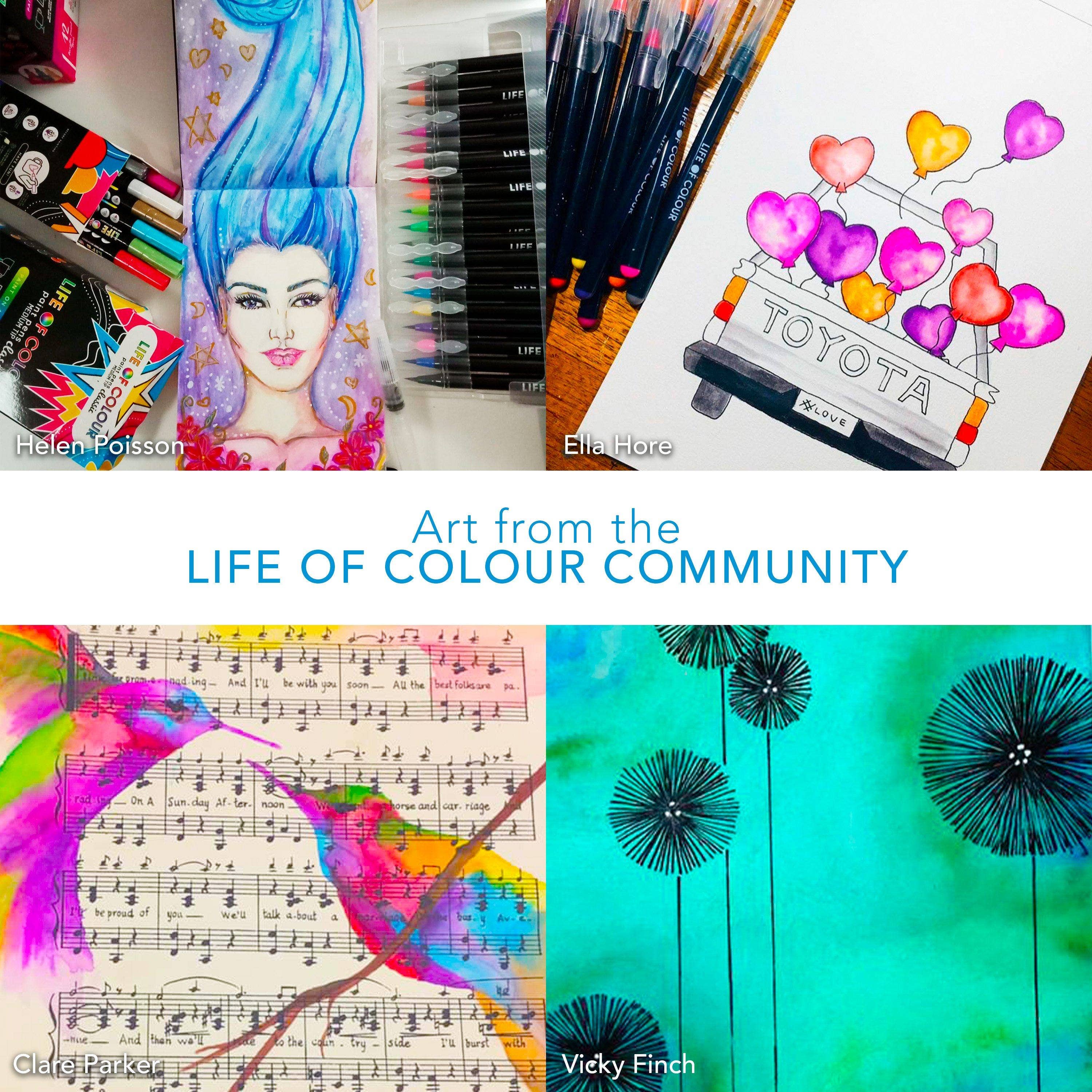 Life of Colour - Wholesale Paint set - Watercolour Brush Pens - Set of 206